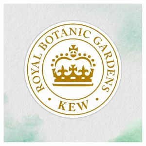 Herbal Essences bio:renew Micelárna voda Revitalizácia Kondicionér 360ml