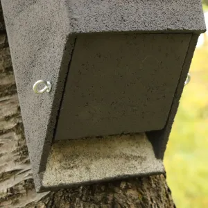BNB Box ANS-4 búdka pre netopiere, drevobetón, dutinová hranolová, zelená ANS-4 BNB