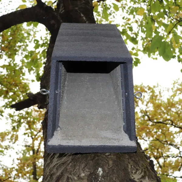 BNB Box ANS-4 búdka pre netopiere, drevobetón, dutinová hranolová, zelená ANS-4 BNB