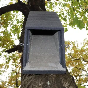 BNB Box ANS-4 búdka pre netopiere, drevobetón, dutinová hranolová, zelená ANS-4 BNB