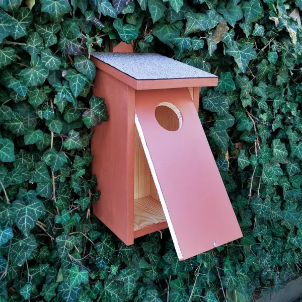 BAT-MAN Corvus búdka pre kavky a sovy, borovica, hnedá, so strieškou CO80DF NA
