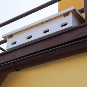 BAT-MAN AtikBox 4 búdka pre dážďovníky, štvorkomorová, borovica, biela, plechová strieška AP4DF BM