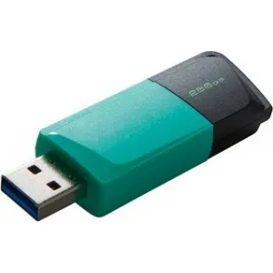 KINGSTON DTXM/256GB USB3.2 Gen 1 USB FD