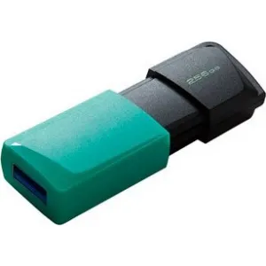 KINGSTON DTXM/256GB USB3.2 Gen 1 USB FD