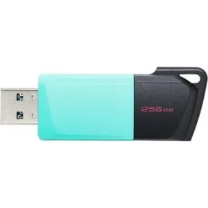 KINGSTON DTXM/256GB USB3.2 Gen 1 USB FD