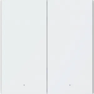 nástenný smart vypínač 2 páčkový - AQARA Smart Wall Switch H1 EU (With Neutral, Double Rocker) (WS-EUK04)