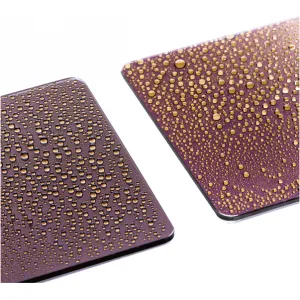 NiSi Square Nano IRND 100x100mm ND4 2Stops