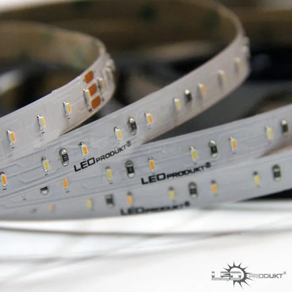 LEDprodukt PROFI LED pásik 120LED/m SMD1808 9,6W/m DUAL-WHITE IP65 12V