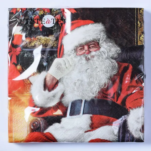 TL828000 SERVÍTKY SANTA AT HOME 33x33 3VRT NAPKINS 1bal