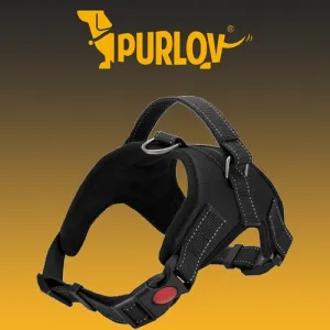 MG Harness postroj pre psov M, čierny