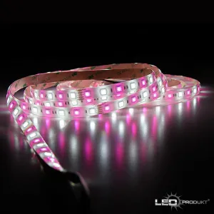 LEDprodukt PROFI LED pásik 60LED/m SMD5050 14,4W/m RGB-W (RGB+studená biela) IP65 24V