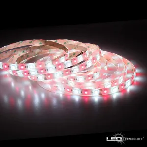 LEDprodukt PROFI LED pásik 60LED/m SMD5050 14,4W/m RGB-W (RGB+studená biela) IP65 24V