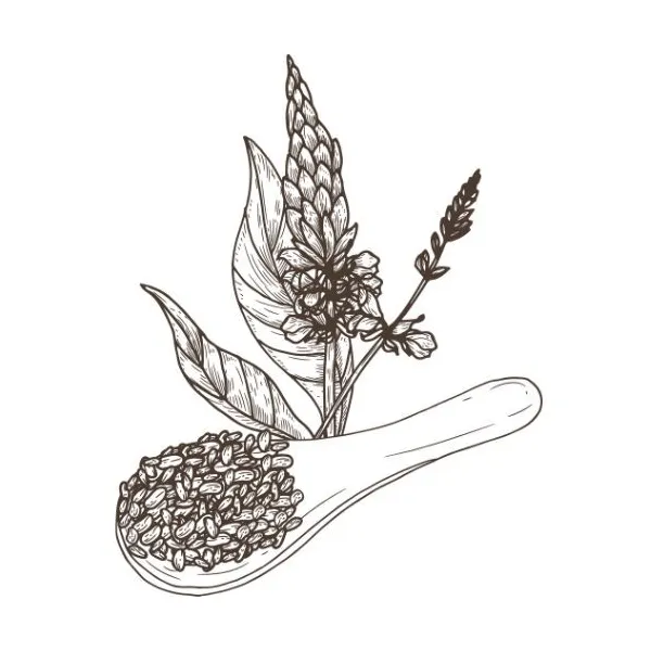 Olej z chia semienok 100% Alteya Organics 50 ml