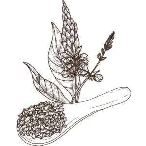 Olej z chia semienok 100% Alteya Organics 50 ml
