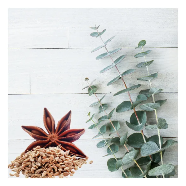 Bieliaca zubná pasta Eukalyptus a aníz Astera Homeopathica 75 ml