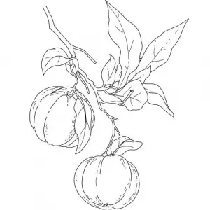 Neroli olej 100% Alteya Organics 10ml