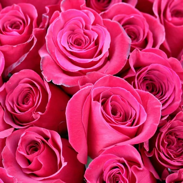 Darčekový set 2x mydlo a balzam na pery Rose Luxurious of Bulgaria