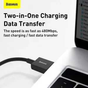 Kábel USB na USB-C Baseus Superior Series, 66 W, 2 m (čierny) 026623