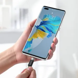 Kábel USB na USB-C Baseus Superior Series, 66 W, 2 m (čierny) 026623