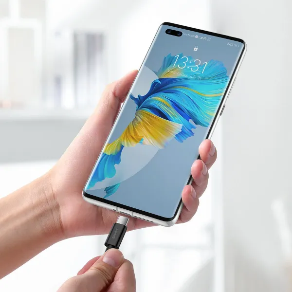 Kábel USB na USB-C Baseus Superior Series, 66 W, 2 m (čierny) 026623