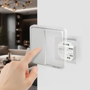 Smart Switch (WiFi+2.4G)