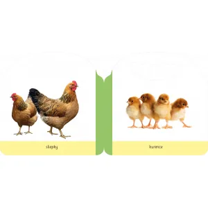 Úplne malé kroky – Farma