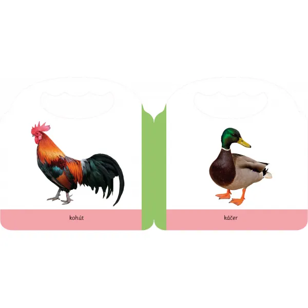 Úplne malé kroky – Farma