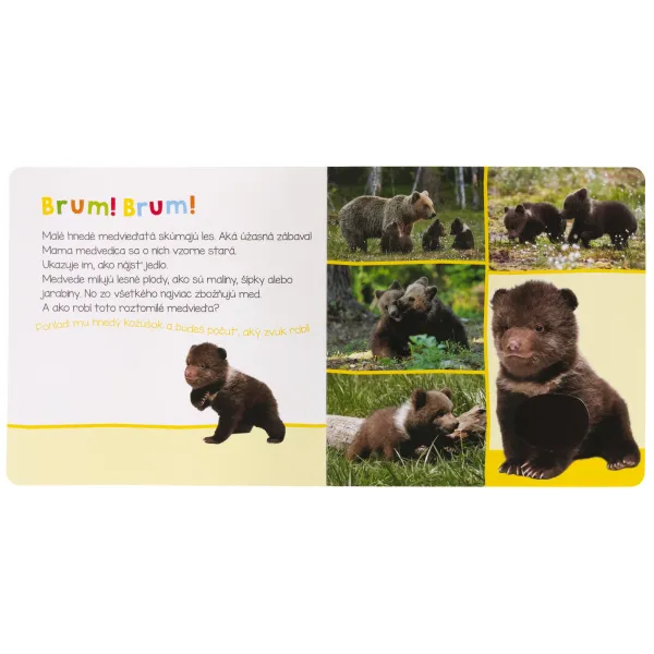 Počúvaj, kto to môže byť? Mláďatá
