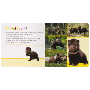 Počúvaj, kto to môže byť? Mláďatá