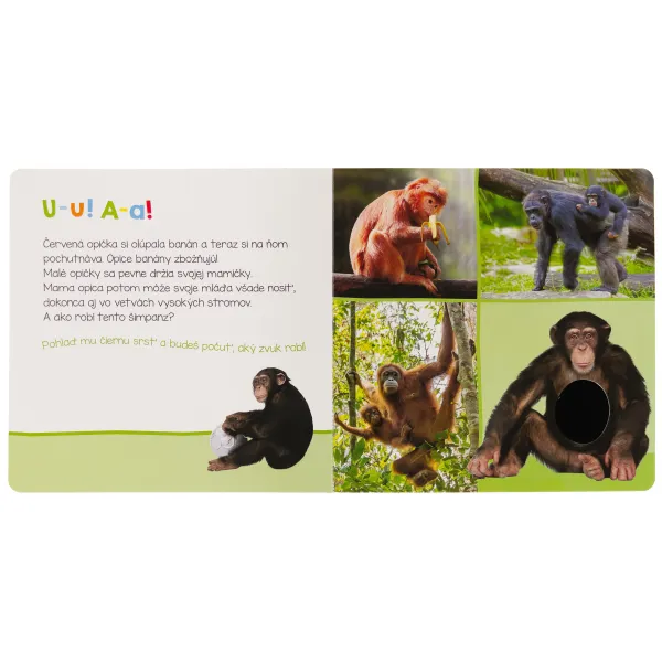 Počúvaj, kto to môže byť? Zvieratá zo zoo