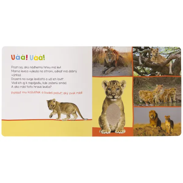 Počúvaj, kto to môže byť? Zvieratá zo zoo