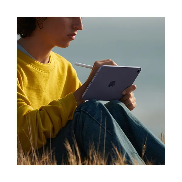 Apple iPad mini (2021) Wi-Fi 256GB Pink, MLWR3FD/A