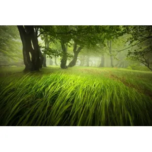 Polarizačný filter VFFOTO PS US 82 mm VFFOTO155