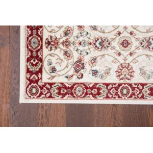 DECOREUM Koberec K473C COLORADO biela Rozmery (v): 60x100