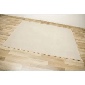 Koberec Birch 62 krémový / béžový