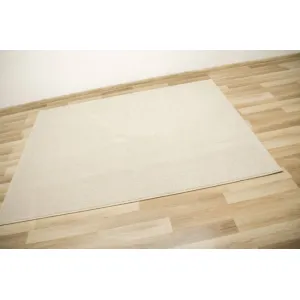 Koberec Birch 62 krémový / béžový