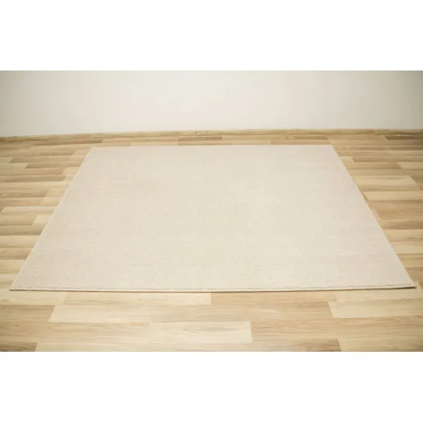 Koberec Birch 62 krémový / béžový