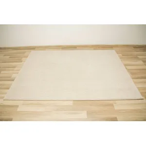 Koberec Birch 62 krémový / béžový