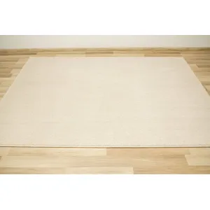 Koberec Birch 62 krémový / béžový
