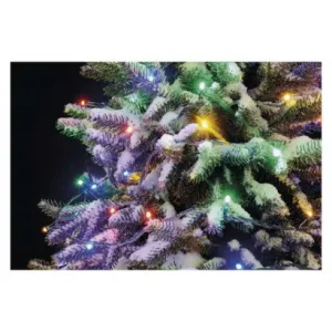 EMOS Lighting Standard LED spojovacia vianočná reťaz, 10 m, vonkajšia aj vnútorná, multicolor