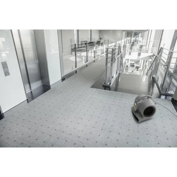Karcher Kärcher - Fukár Sušič kobercov AB 20 Ec
