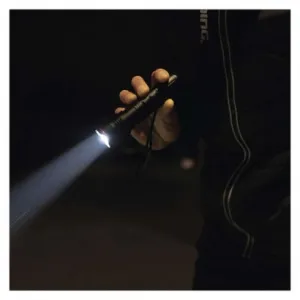 EMOS LED ručné kovové svietidlo P3113, 120 lm, 2× AAA, FOKUS