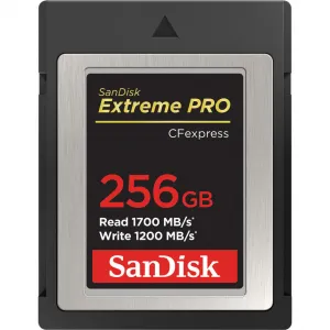 SanDisk  Extreme PRO CF expres 256 GB, Type B 85235110