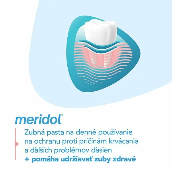 meridol Zubná pasta Gum Protection 75 ml