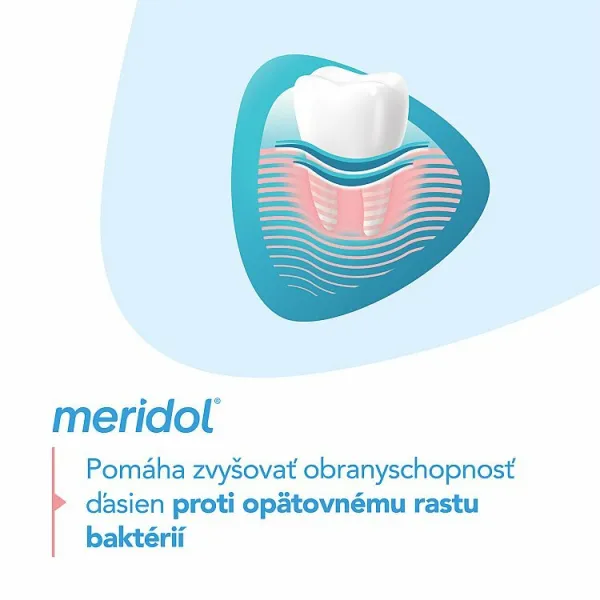 meridol Zubná pasta Gum Protection 75 ml