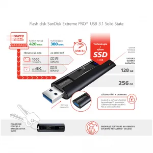 SanDisk Extreme PRO USB 3.1  256 GB 85235110