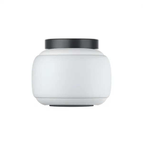 Insta360 GO 2 (32GB) INST440