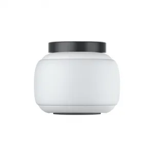 Insta360 GO 2 (32GB) INST440