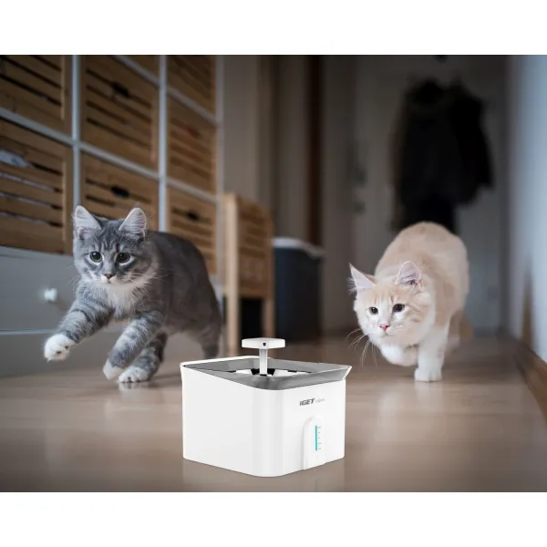 iGET HOME Fountain 3,5L - Automatická fontánka pre domácich miláčikov s objemom 3,5 l, aplikácia HOME