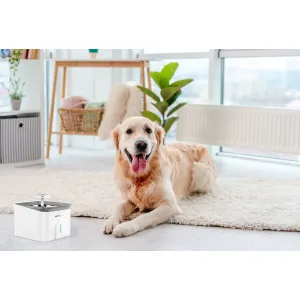 iGET HOME Fountain 3,5L - Automatická fontánka pre domácich miláčikov s objemom 3,5 l, aplikácia HOME